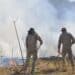 Registros de incêndios ambientais crescem 115%  no primeiro semestre deste ano em relação a 2023