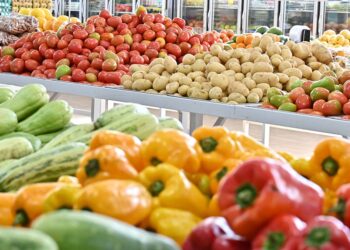 Boletim indica preços mais baixos para maioria das frutas e hortaliças mais comercializadas