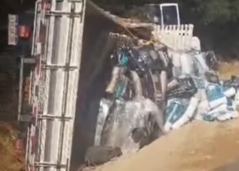 Caminhão carregado de ração animal tomba e deixa dois homens feridos em Rondon