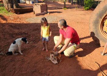 Bombeiros resgatam cachorros caídos em poço de 40 metros em Paranavaí