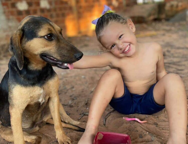 Menina de 4 anos de Paranavaí está em estado grave na UTI e precisa de doação de sangue