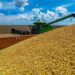 Abiove eleva estimativa de produção de soja em 700 mil toneladas