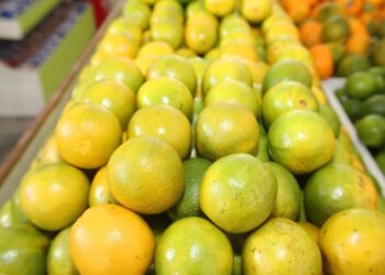 Citros: preços sobem pela 10ª semana consecutiva