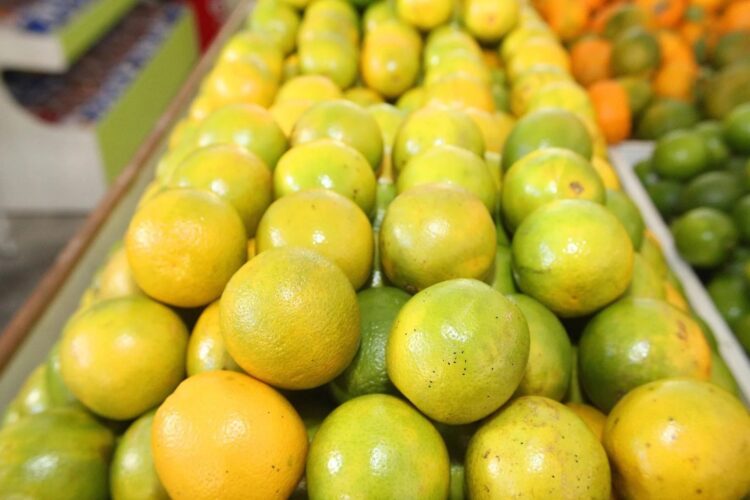 Citros: preços sobem pela 10ª semana consecutiva