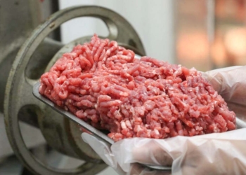 Produção recorde de carne bovina garante exportações e aumento na oferta interna