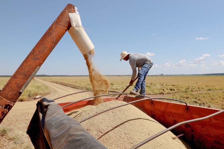 Federação aponta os produtos que mais subiram de preços no Paraná