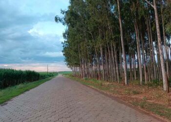 Convênios firmados no 1º semestre somam R$ 125 milhões