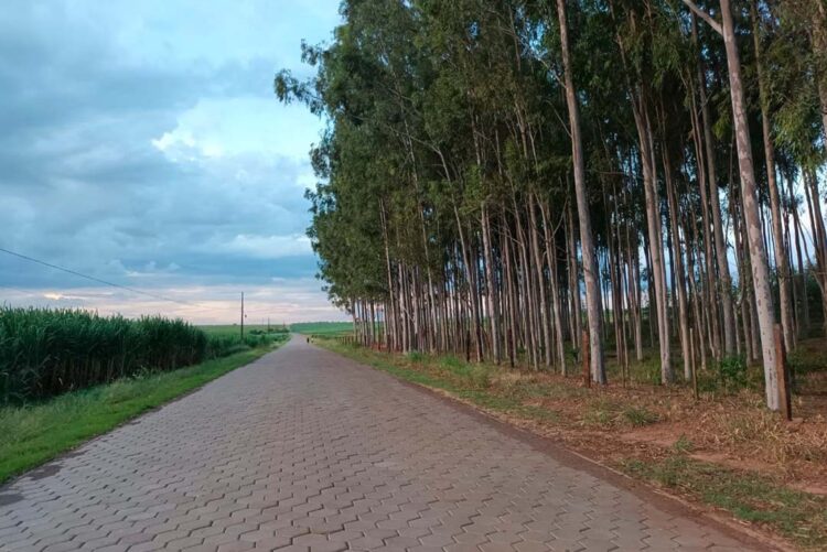 Convênios firmados no 1º semestre somam R$ 125 milhões