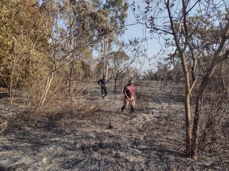 Incêndio destrói 80% da Ilha Óleo Crú no Porto Maringá, segundo Corpo de Bombeiros
