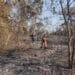 Incêndio destrói 80% da Ilha Óleo Crú no Porto Maringá, segundo Corpo de Bombeiros