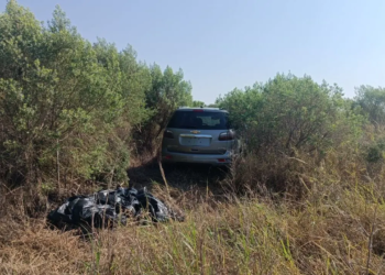 Veículo roubado em Apucarana é recuperado em mata de Alto Paraná