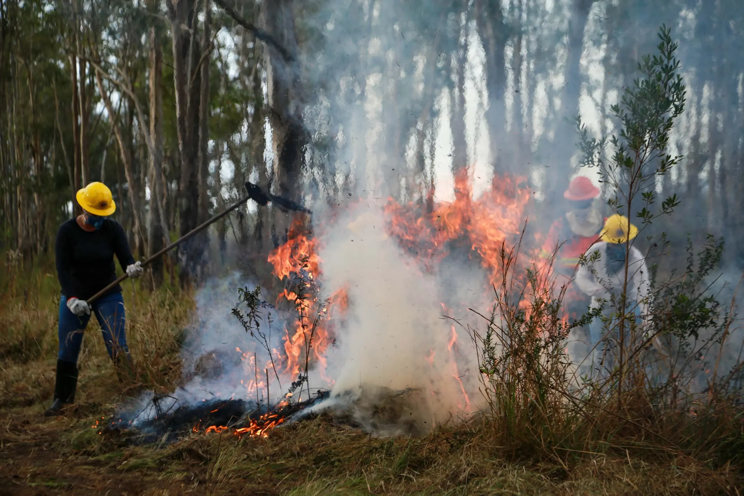 IAT emite alerta para risco elevado de incêndio em Unidades de Conservação no fim de semana