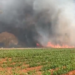 Incêndio de grandes proporções atinge plantação de cana-de-açúcar, pastagem e reserva ambiental