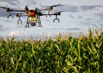 Mercado global de drones agrícolas deve superar R$ 23 bilhões até 2029, diz pesquisa