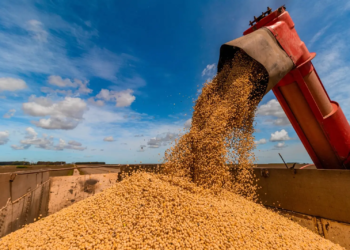 Produção de grãos deve recuar 6,6% e atingir 298,60 milhões de toneladas na safra 2023/24, diz Conab