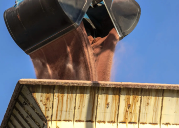 Fertilizantes: entregas ao mercado caem 1,8% no primeiro semestre de 2024