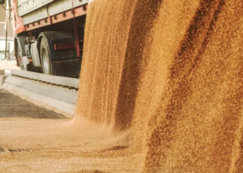 Soja: exportações do Brasil somam 4,398 milhões de toneladas em setembro