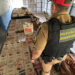 PRE descobre depósito de contrabandos em Cianorte e apreende mais de 900 caixas de cigarros