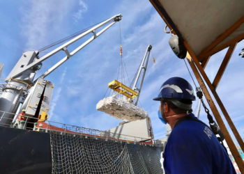 Exportações somam US$ 15,9 bilhões nos oito primeiros meses de 2024