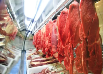 Brasil caminha para recorde histórico nas exportações de carne em 2024