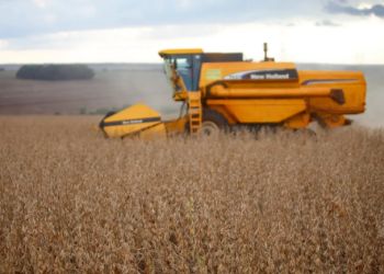 Safra 2024 alcançará 295,1 mi de toneladas, 6,4% menor que a de 2023, diz IBGE