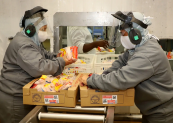 Com 237 mil trabalhadores, Paraná é o 2º estado que mais emprega na indústria de alimentos