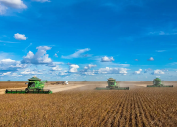PIB do agronegócio acumula recuo de 3,5% em 2024; veja segmentos mais impactados