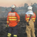 Incêndios florestais no Paraná caem 57% entre a primeira quinzena de setembro e outubro