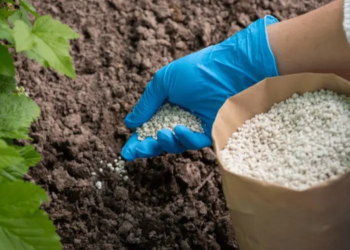 Brasil deve superar recorde de importação de fertilizantes em 2024