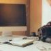 Município oferta workshop gratuito de fotografia especializada para redes sociais