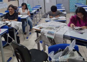 Professora de Paranavaí utiliza o DN como ferramenta de ensino