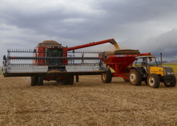Índice de Atividade Econômica do Paraná cresceu 5,3% em setembro, aponta Banco Central