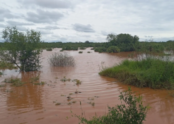 Defesa Civil emite alerta para Querência do Norte e áreas ribeirinhas do Rio Ivaí