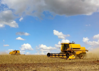 Confira como está a situação das lavouras de soja no Paraná
