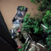 Carro capota e cai dentro de rio entre Cianorte e Terra Boa; uma pessoa morreu