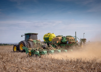 Chuva em dezembro favoreceu plantio e desenvolvimento da safra verão