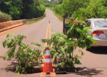 Enchentes comprometem cabeceira de ponte na PR-559 em Mirador