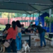 Castrapet realizará 754 castrações de cães e gatos em Paranavaí