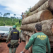 Concurso do Ibama terá 460 vagas com salários de R$ 9,9 mil