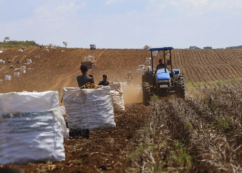 Adesão obrigatória da nota fiscal eletrônica do produtor rural é prorrogada para julho