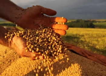 Conab estima produção de grãos em 322,3 milhões de toneladas na próxima safra