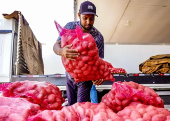 Conab aponta queda de preço da batata e alta da cebola e tomate