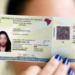 Brasil fecha 2024 com 17,7 milhões de emissões da nova identidade nacional