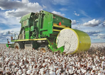 Brasil consolida liderança na exportação de algodão, mas 2025 traz desafios