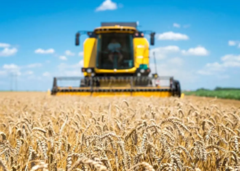 Soja: preço da saca do produto em queda