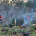 Com incêndios, bombeiros registraram aumento de 10% no total de ocorrências