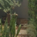 Onça-parda é capturada no quintal de casa em Paranavaí; VÍDEO
