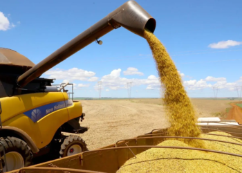 Conab disponibiliza calendário 2025 de levantamentos das safras agrícolas