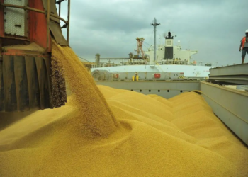 Anec: Brasil exportou 97,299 milhões de t de soja em grão em 2024