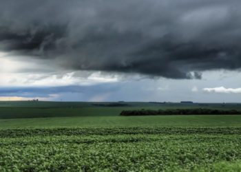 Boletim agrometeorológico analisa chuvas de janeiro no cenário agrícola